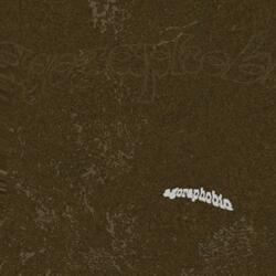agoraphobic