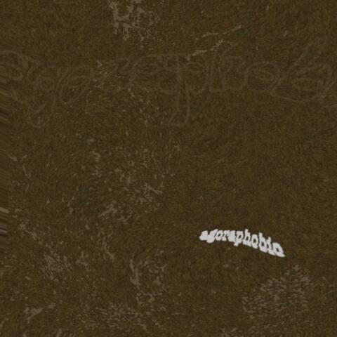 agoraphobic