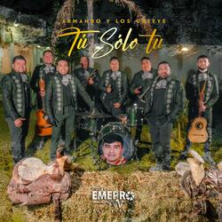 Tu Solo tu