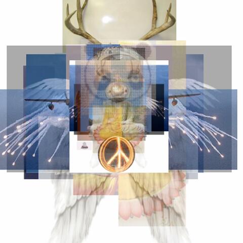 Waveform Samurai of Topanga, Vol. 2
