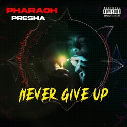 Never Give Up