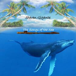 Voice of the Whale