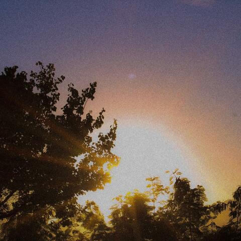 Morning Light