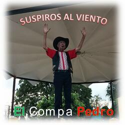 Suspiros al viento corrido