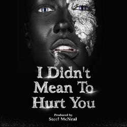 I didn't mean to hurt you