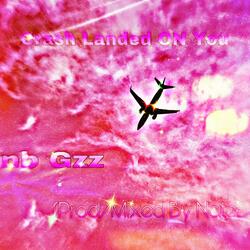 Crash Landed ON You