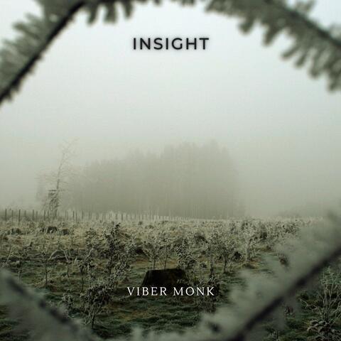 Insight