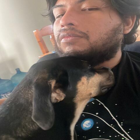 Inmate 737 (Demo Version)