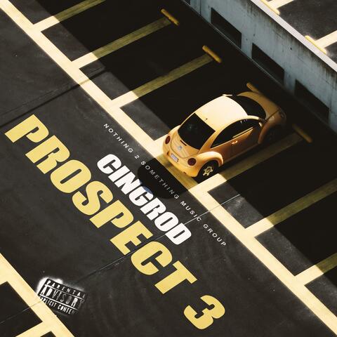 Prospect 3
