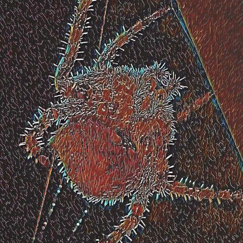 BUG MUSIC