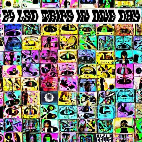 24 LSD trips in one day