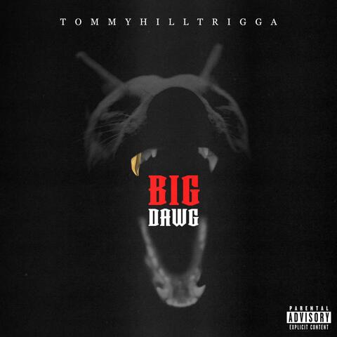 Big Dawg