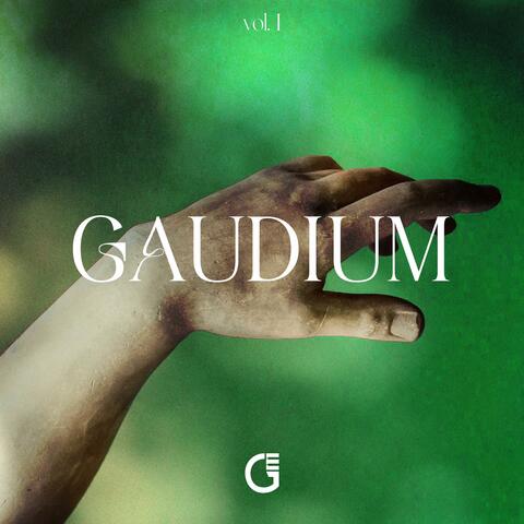 Gaudium (vol I)