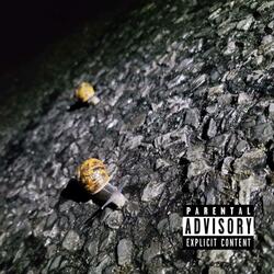 snail trip