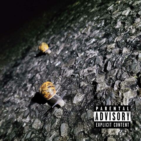 snail trip