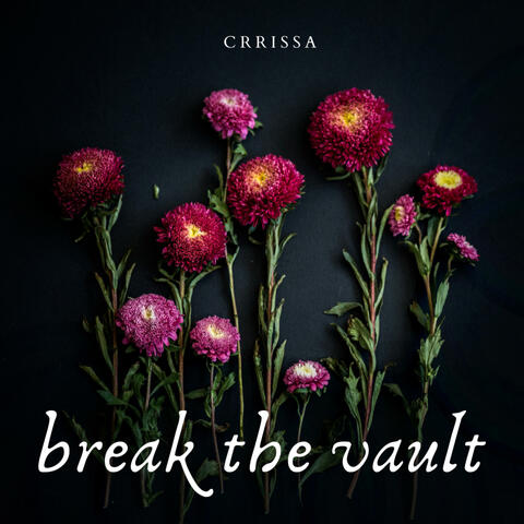 Break the Vault