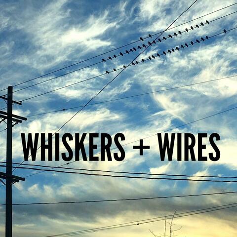 Whiskers and Wires