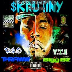 Skrutiny (feat. R.S.O. T-Raww)