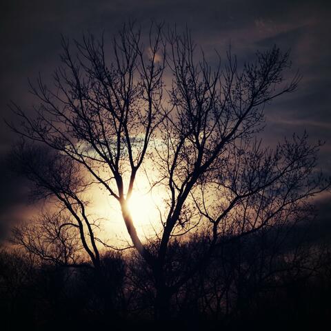 Our Biggest Enemy Is The Sunrise