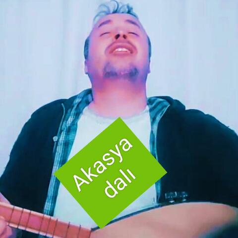 Akasya Dalı, akasya dali