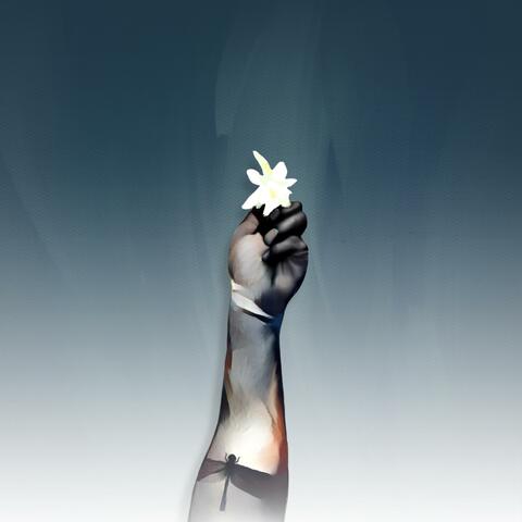 Hold on Me