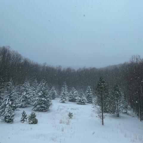 Flakes