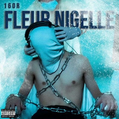 Fleur Nigelle
