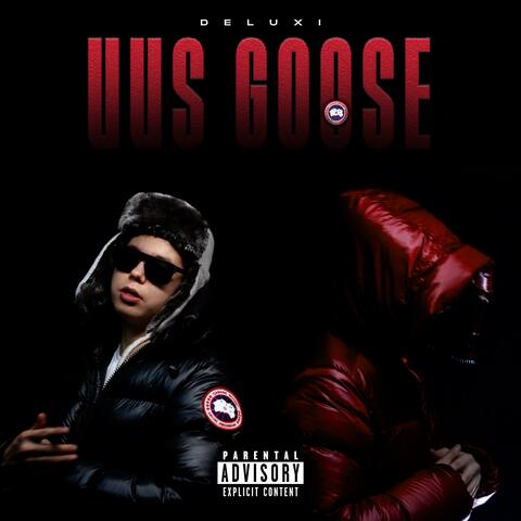 Uus Goose