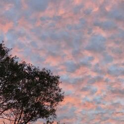 left behind (feat. ByeADD)