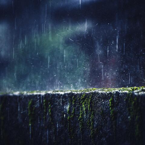 Charming Rain and Crickets