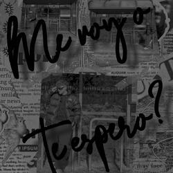 Me voy o te espero?