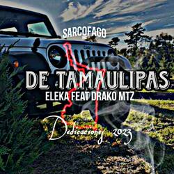 De tamaulipas