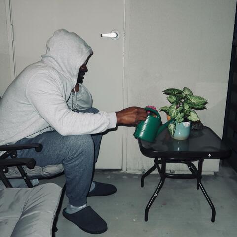 Late Bloomer (Radio Edit)