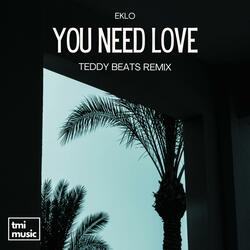 You Need Love