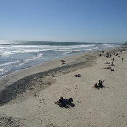 There Will Always Be Surf