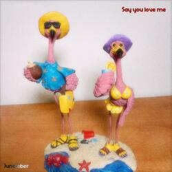 Say You Love Me