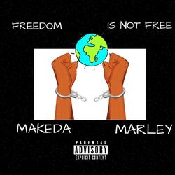Freedom is Not Free (feat. Big Dunn)