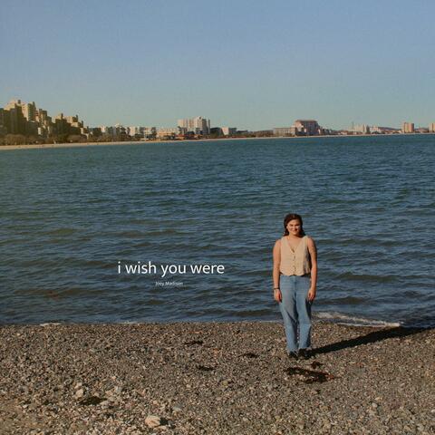 i wish you were