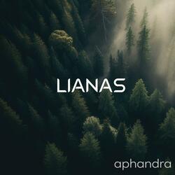 Aphandra (Rain)