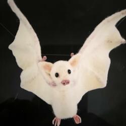 In Your Vertical Smile