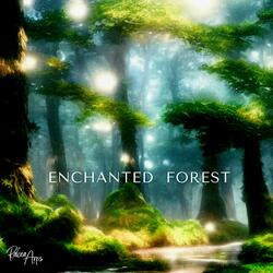 Enchanted Forest