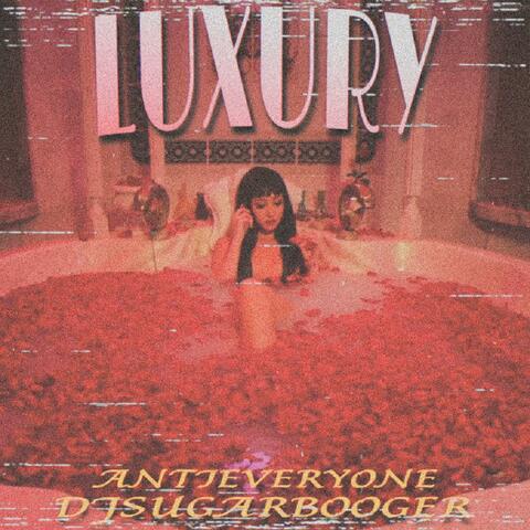LUXURY (feat. DJ SUGAR BOOGER)