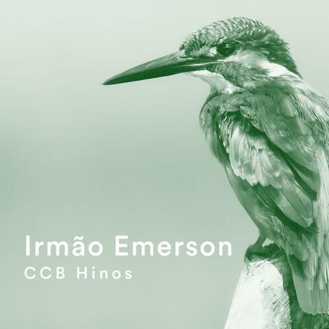 Irmão Cantando CCB Hinos