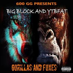GORILLAS AND FOXES (feat. YTB Fatt)