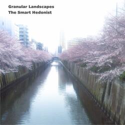 Granular Landscapes