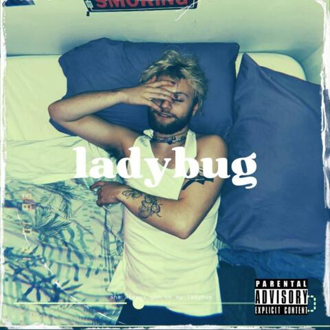 Ladybug