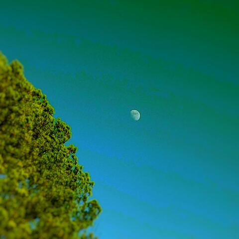 Daymoon