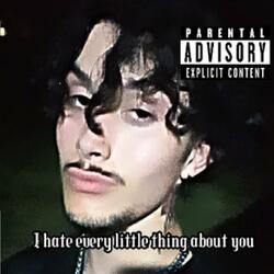 I Hate Every Little Thing About You
