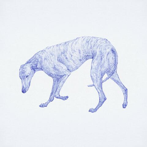Dog Sketch/Willing/Indigo Girls