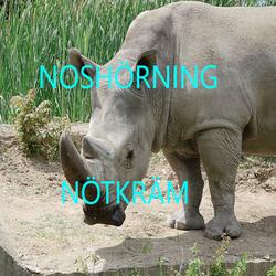 NOSHÖRNING
